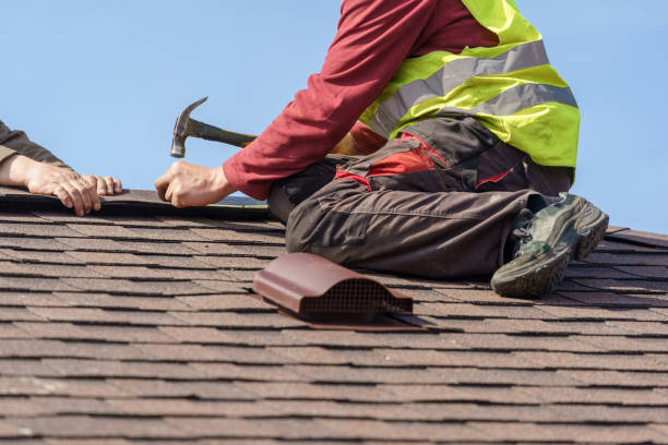 Best Roof Gutter Cleaning  in Howard City, MI