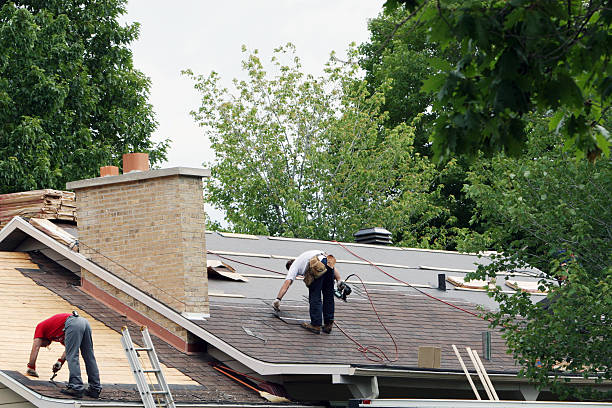 Best Storm Damage Roof Repair  in Howard City, MI