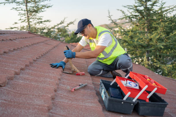 Best Affordable Roofing Company  in Howard City, MI