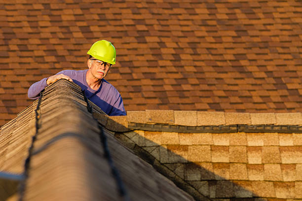 Best Roof Maintenance Services  in Howard City, MI