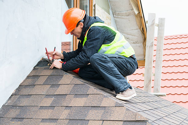 Best Roof Inspection Near Me  in Howard City, MI