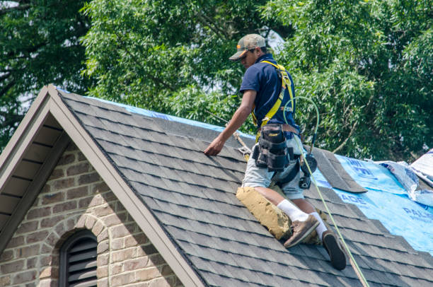 Best Shingle Roofing Installation  in Howard City, MI
